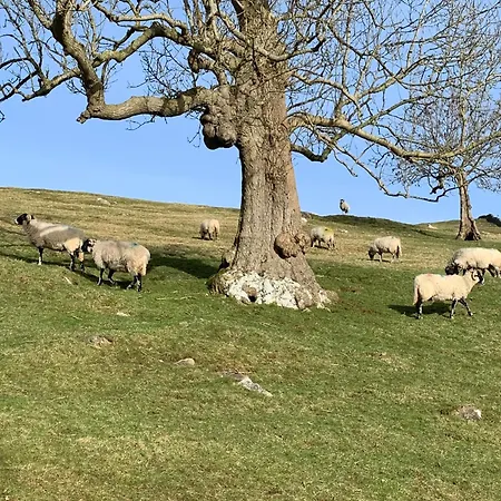 Inglewood Apartment, Ingleton, Yorkshire Dales National Park, Famous Three Peaks, Near The District, Pets Are Welcome Lejlighed *